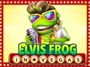 Elvis Frog In Vegas thumbnail